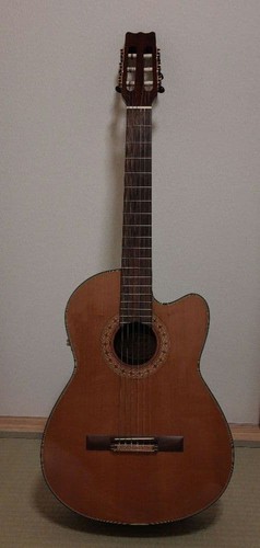 Vantage acoustic guitar - acoustic,
