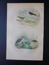 Gravure couleur