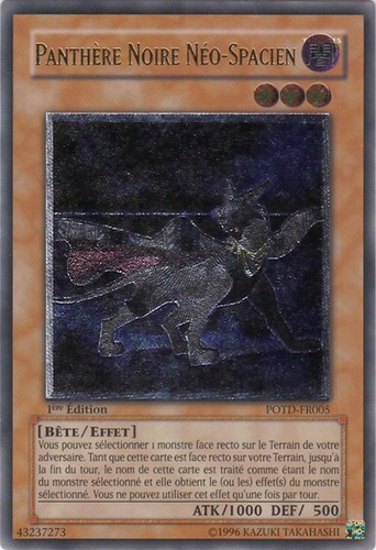 Panthère noire - yu-gi-oh!,