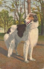 CP BORZOI RUSSIAN DOG GREYHOUND - 56580