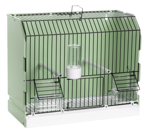 Exposition cage green - exposition,