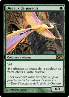 Magic mtg oiseaux de - mtg, paradis