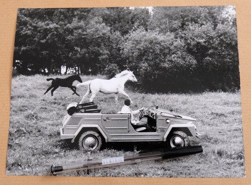 1975 181 thing photo - thing,