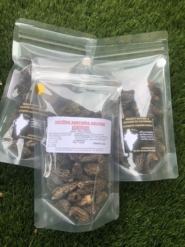 Grs morilles spéciales - 50, de