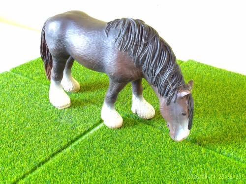 Cheval jument shire broutant - cheval,