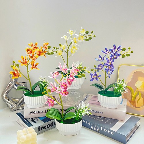 Plante orchidée - plante, d'orchidée