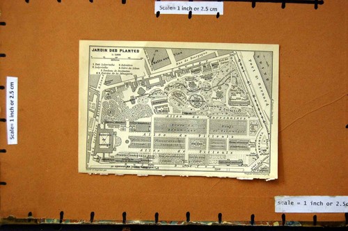 Original old antique print - original,