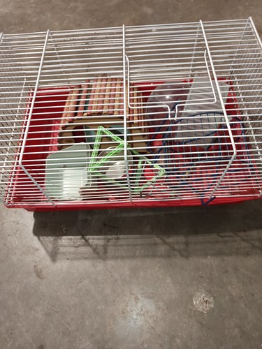 Cage hamster - cage,