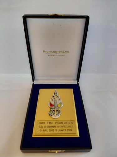 Insigne médaille sur
