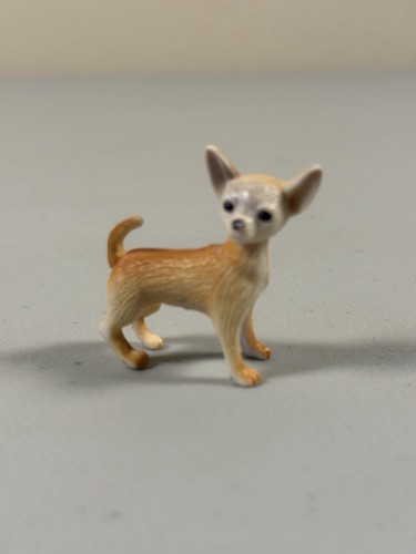 Chihuahua dog miniature - dog,