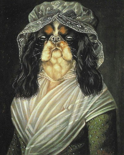 Cavalier king charles nadia - cavalier,