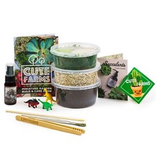 DIY Small Terrarium Kit -