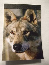 Carnet aimanté à feuilles