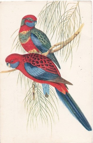 Old postcard art illustration