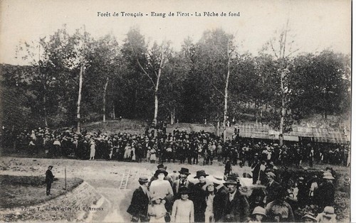 Foret troncais etang de - -,