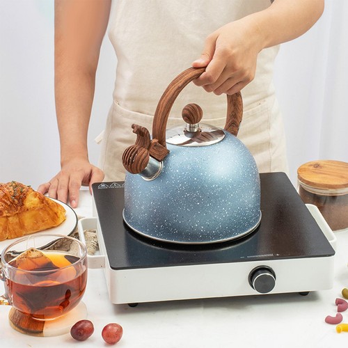 Acier inoxydable cuisinière - acier,