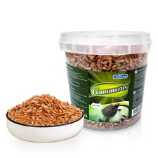 Crevettes Tortue, Nourriture