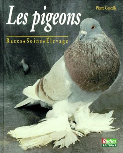 Les pigeons races soins - pigeons, races,
