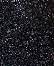 (100+) Datura Stramonium Jimsonweed Moon Lily Flower Seeds