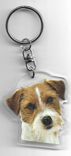 Jack russel chien porte cles - cles, /