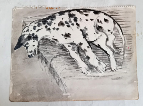 Aquarelle dalmatien 23 5 - 23,5, x