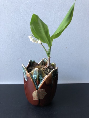 Vintage ancien pot barbotine - ancien,