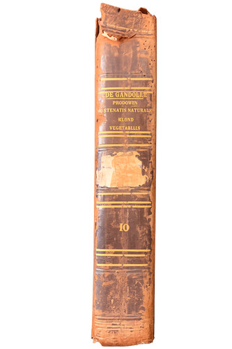 Prodromus systematis naturalis - prodromus,