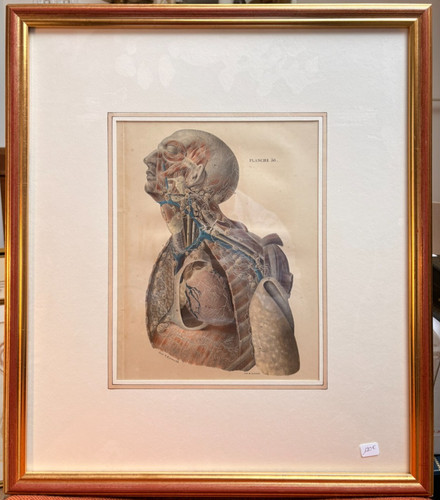 Ancien estampe gravure - ancien,