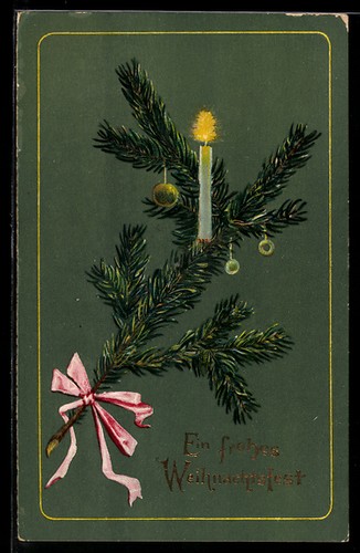Carte postale branche sapin - postale,