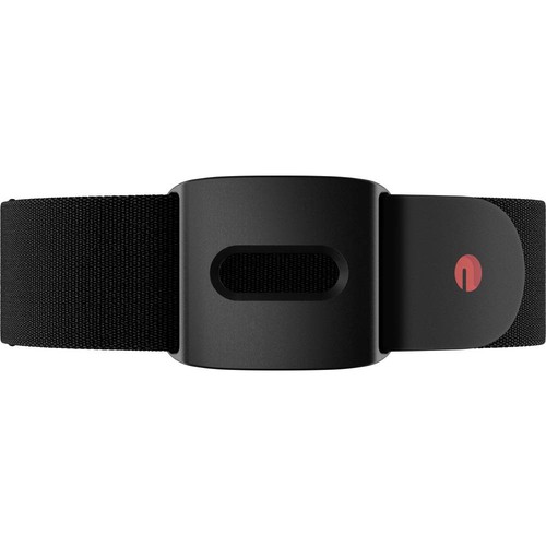 Polar verity sense xxl - polar,