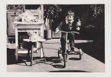 Joyful Trike Adventures mignon