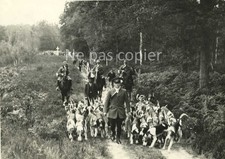 COMPIEGNE 1934 CHASSE à