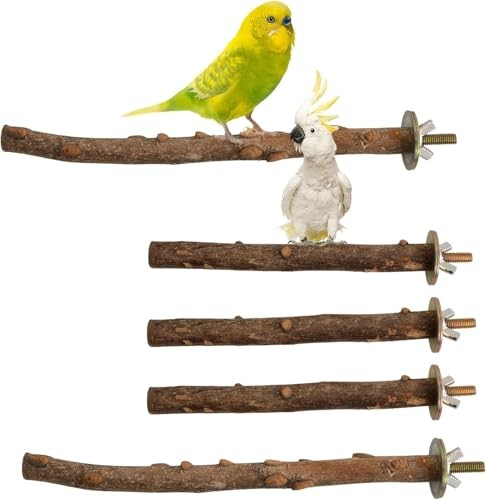 Lot perchoirs en bois - 5,