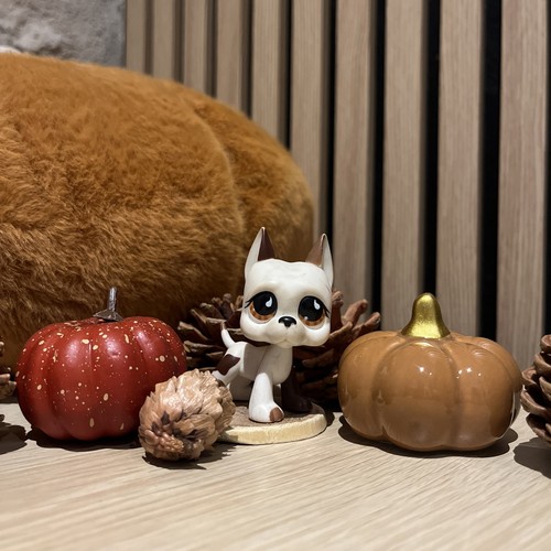 Littlestpetshop pet shop - pet,