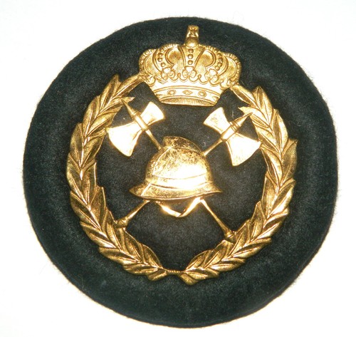 Insigne sapeurs pompiers - sapeurs,