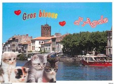Carte Postale - Animaux -