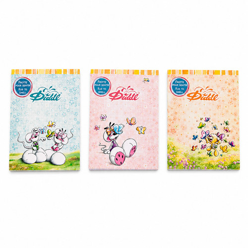 Lot blocs parfumés - blocs, diddl