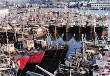 29 CONCARNEAU BATEAU DE PECHE