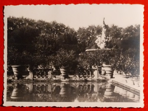 Photo firenze jardin boboli - firenze,