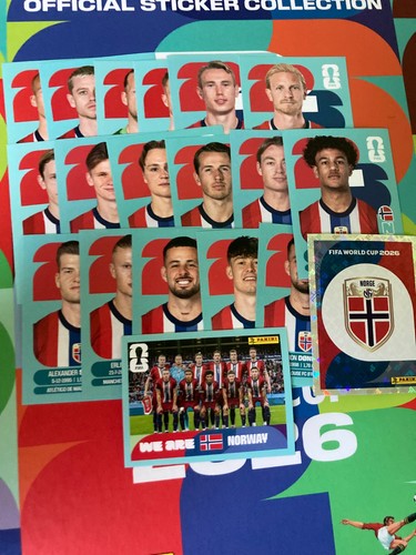 Choix norvege panini - au,