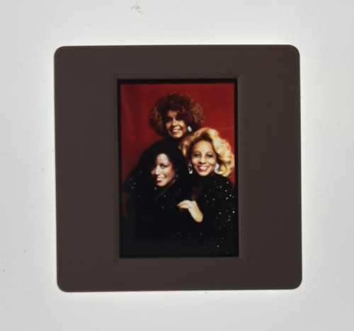 Flos photograph transparency - flos,