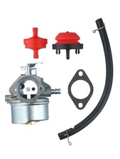 Kit Carburateur Souffleuse à