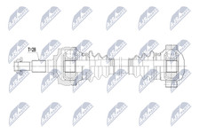 NTY L'Arbre D'Entraînement