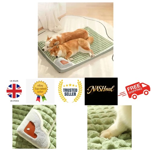 Coussin pour chien amovible - coussin,