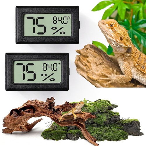 Digital terrarium thermometer - terrarium,