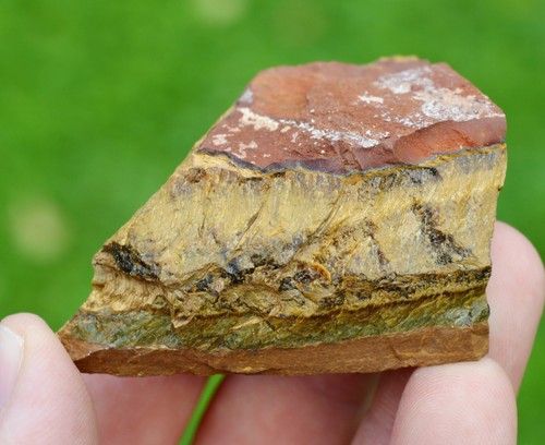Tiger eye grams prieska - tiger,