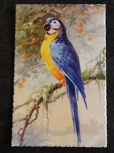 Illustree signee klein - cp,