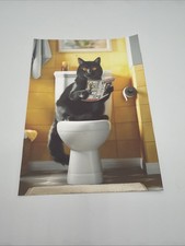 Affiche Chat Noir WC Drôle A5