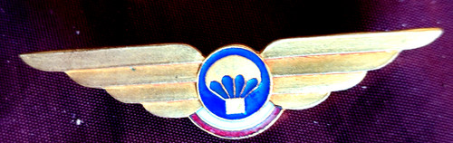 Insigne para légion - insigne,