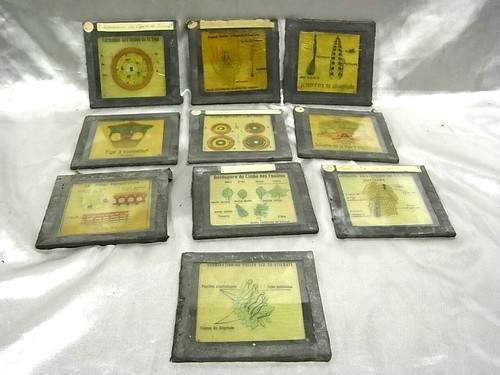 10 plaques verre - ,